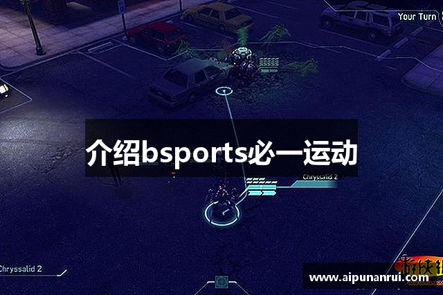 介绍bsports必一运动